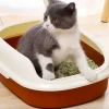 Cat toilet /Cat litter box